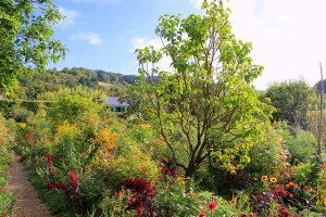 A sneak peak of what awaited us inside the gardens