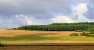 Sunflower fields off in the distance on the way to Fourges